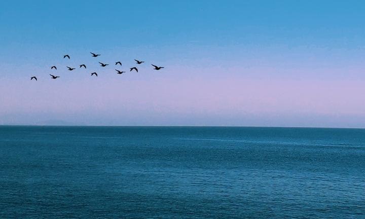 Photo by Samir Jammal from Pexels