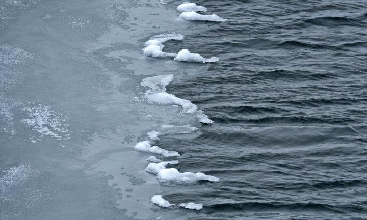 Rachel K. Martin, ALL Originals, ice & waves