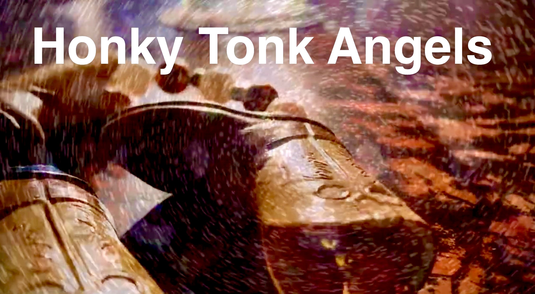 Honky Tonk Angels by Meggen Heuss