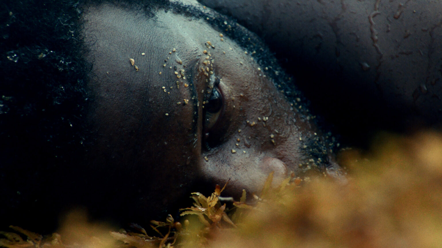 Nosferasta: First Bite by Adam Khalil and Bayley Sweitzer