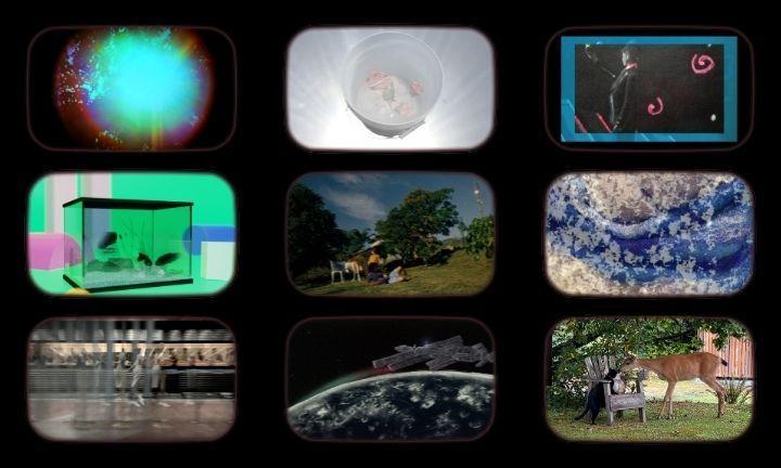 9 stills from the 2026 Midwest Video Poetry Fest