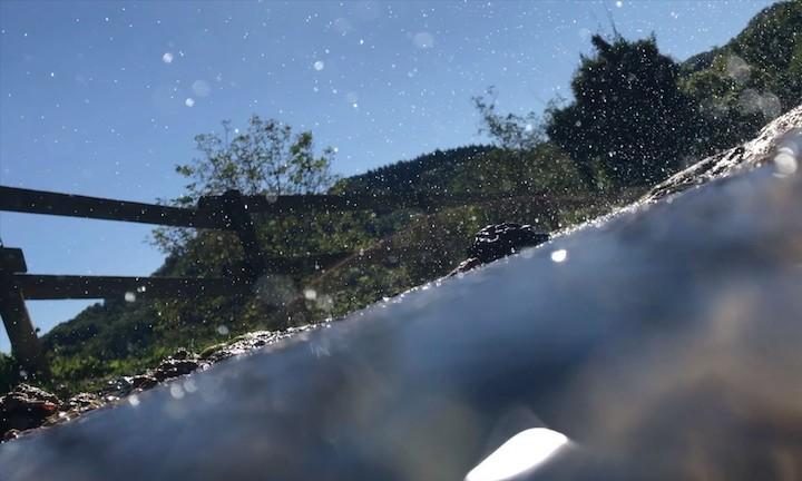 sideways shot half under water with wood fence, green hill, and blue sky in the background
