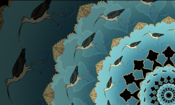 Animated phenakistoscope including long-billed birds. 