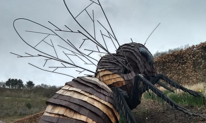 Giant bee with no fur Eden Project from Wikimedia Commons