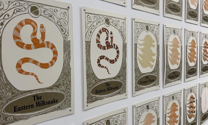 Becoming: an oak savanna laboratory, an exhibition by Maria Schirmer