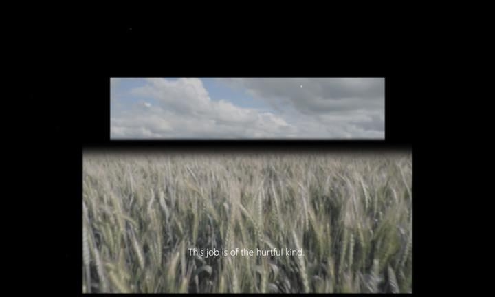 This job is of the hurtful kind split screen sky and wheat Midwest Video Poetry Fest