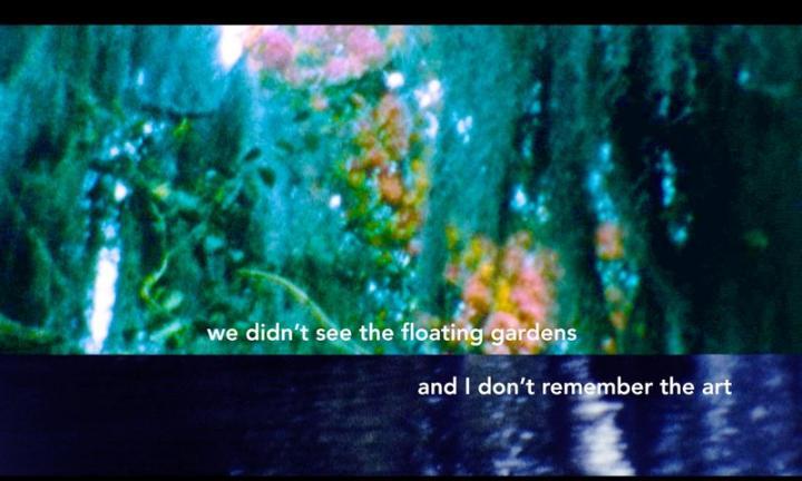 we didn't see the gardens and I don't remember the art Midwest Video Poetry Fest