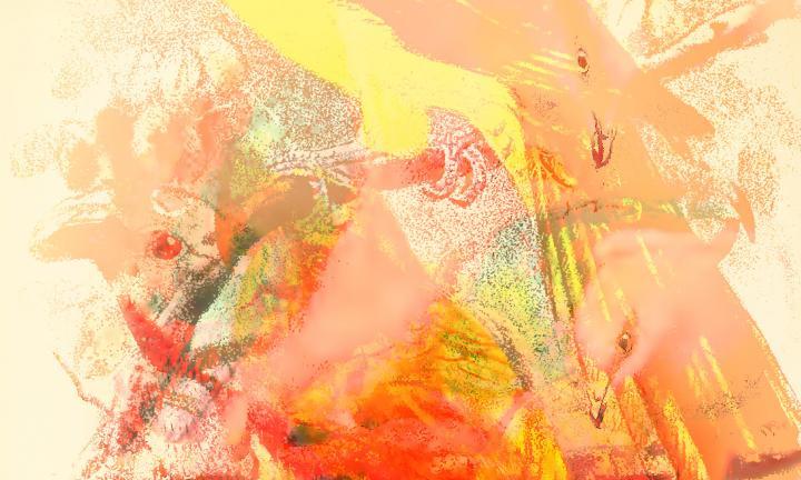 Abstract layered collage of animated pink and yellow birds.