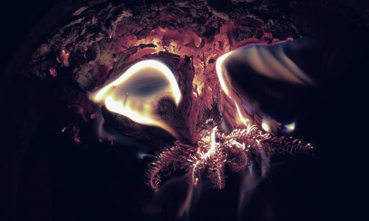 Black space with reddish textured rock and light shaped like wings and an underwater plant