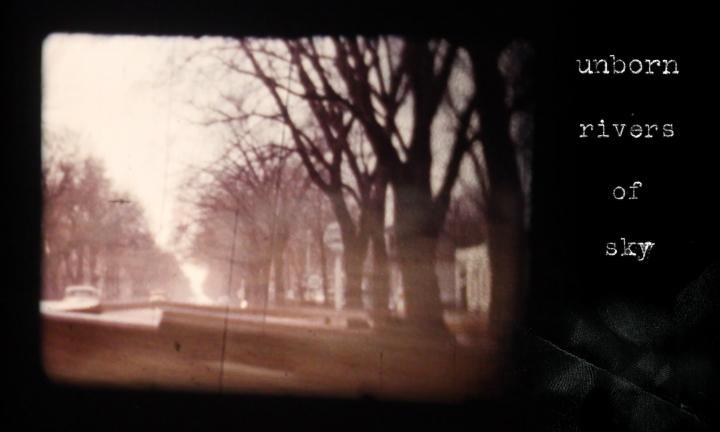 uborn rivers of sky sepia photo of street with trees Midwest Video Poetry Fest