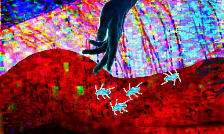 hand over colorful background and hand-drawn bugs Depleted Reality still Midwest Video Poetry Fest