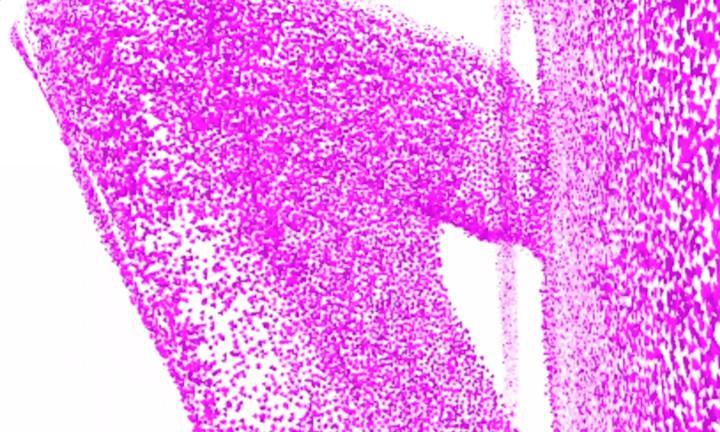 high heel pump shown vertically created by tiny pink triangles