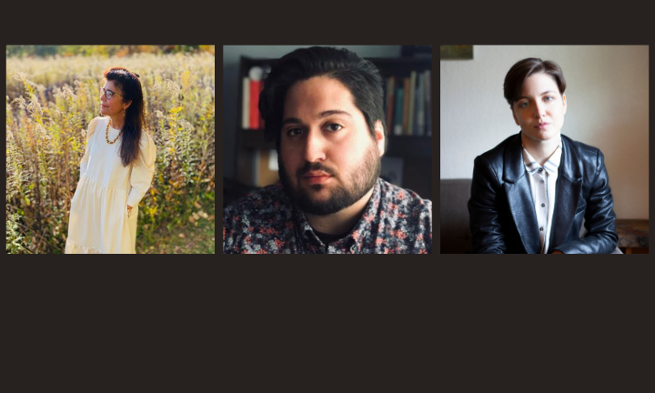 Three photos side-by-side, first with a women in a field wearing a dress, next a man with facial hair, lastly a person with short hair and leather jacket. 