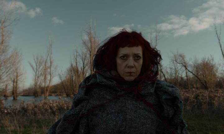 a woman with red hair on a barren landscape