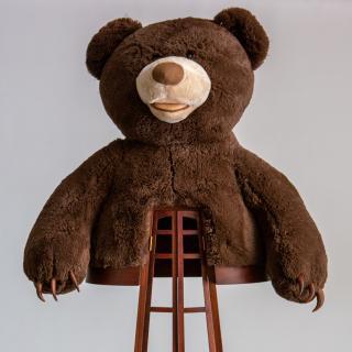 Sylvie Rosenthal - Bear Cabinet
