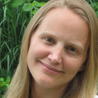 Brandi Reissenweber Illinois writer