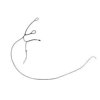 Minimalist drawing of a snail
