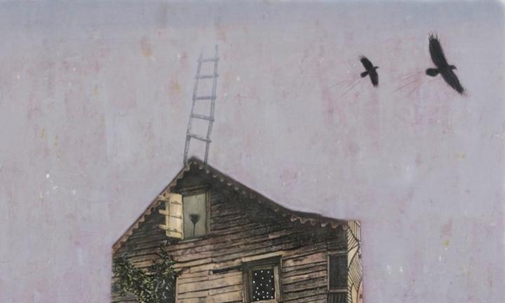 Lauren Camp Took House poetry readings Madison Wisconsin creative writing