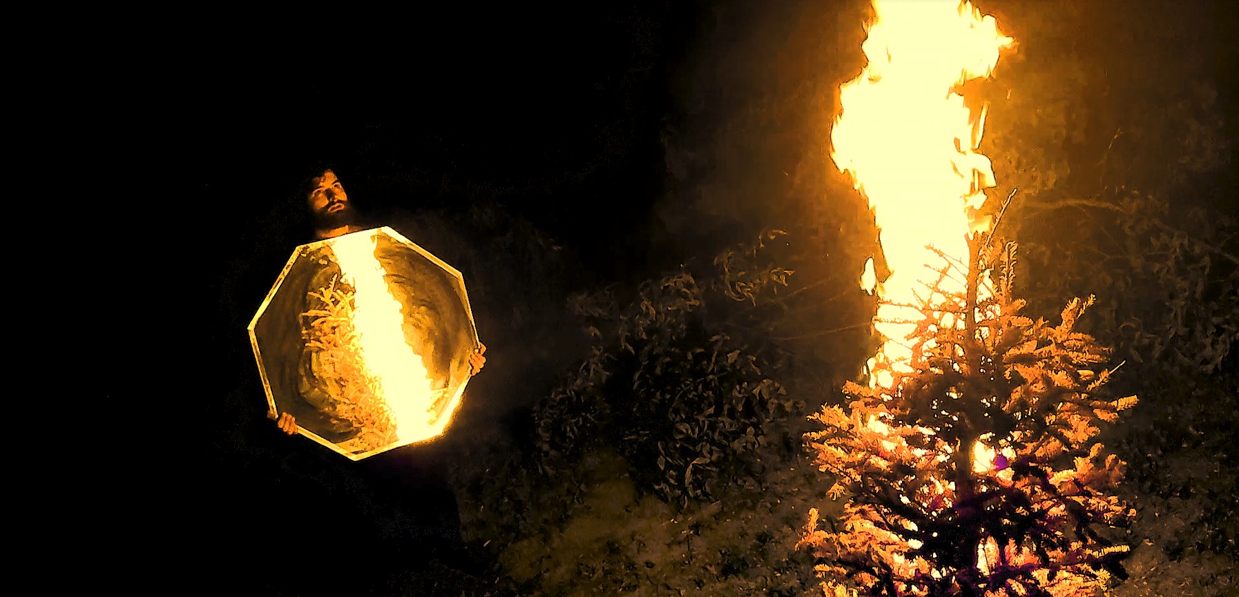 Self Portrait with Burning Tree Spencer Wise Self Portrait with Burning Tree Spencer Wise